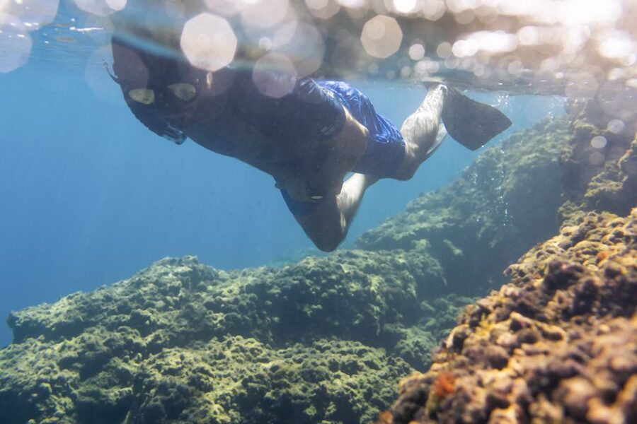 1-Hour Snorkeling Tour in Paraggi Bay, Portofino - First section: Niasca’s posidonia meadow and cliff