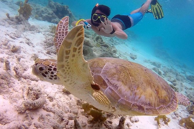 100% Private Charter Snorkel, Sail, Relax (Cruisers Friendly) - Is $450 Per Person Good Value?