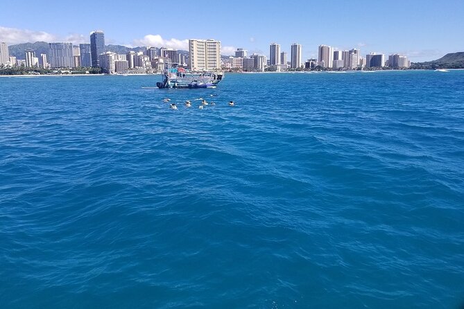 12pm Turtle Canyon Snorkel Adventure - Drinks, snacks, and the real price