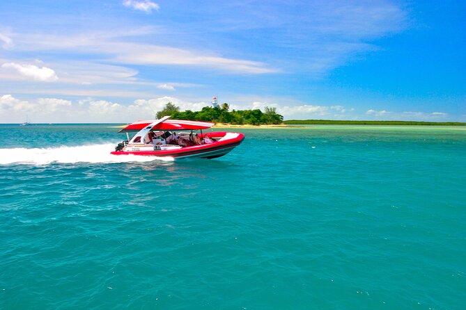 2 1/4 hr Low Isles Reef Sprinter Snorkeling Tour-No Island Access - A quick run to Low Isles Reef