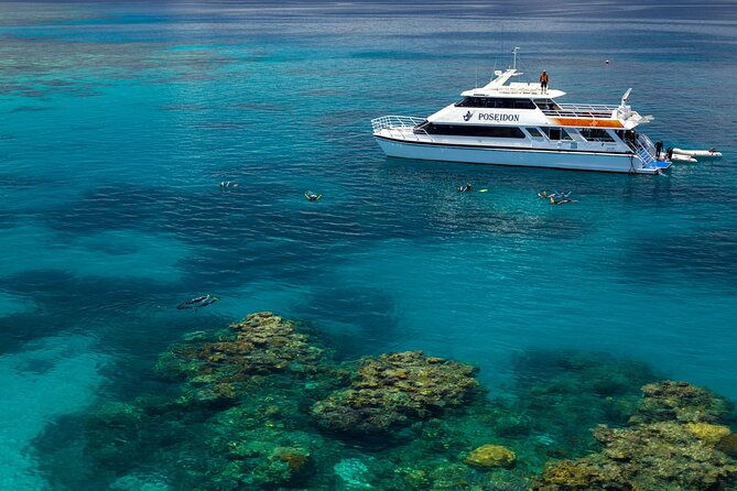 2 1/4 hr Low Isles Reef Sprinter Snorkeling Tour-No Island Access - Is $136.28 good value?