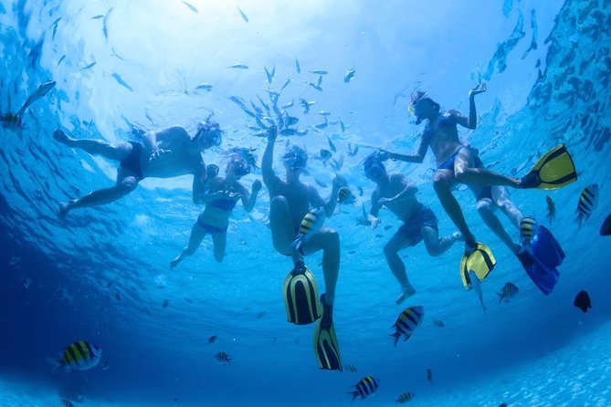 2.5 Hour Xpress Snorkel from Ka’anapali Beach - Meeting at Sea Maui near Whaler’s Village