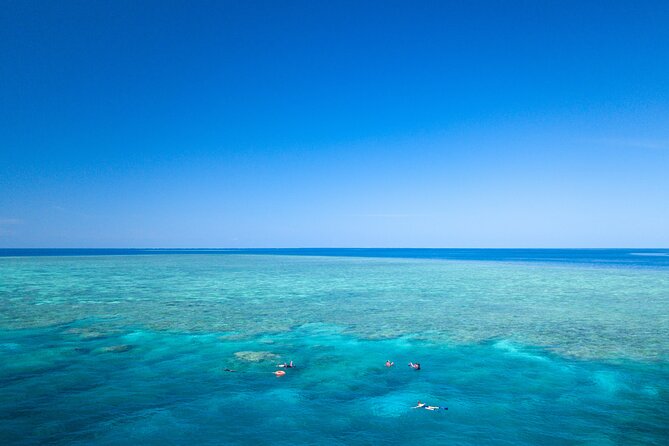 2-Day Snorkelling Experience - Great Barrier Reef Twin Share - Key points to know before you book