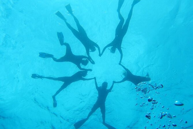 2-Hour Dolphin Watching and Double Reef with Snorkel in Hawaii - Who Will Enjoy This Kona Outing Most?