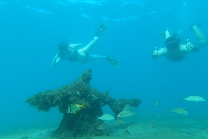 2 ½ - Hour Guided Snorkel Tour of Phil Foster park, Free Videos! - Why Phil Foster Park makes a good snorkel base