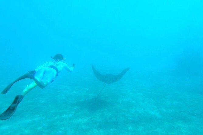 2 ½ - Hour Guided Snorkel Tour of Phil Foster park, Free Videos! - Water temperature and the optional wetsuit