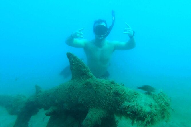 2 ½ - Hour Guided Snorkel Tour of Phil Foster park, Free Videos! - Why a guide beats going alone here