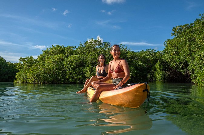 2 Hour Mangrove Kayak and Snorkel Tour - Watching for turtles on the return
