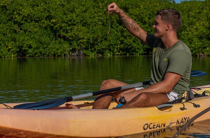2 Hour Mangrove Kayak and Snorkel Tour - What the included facilities add
