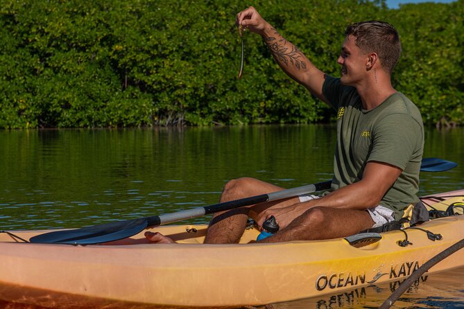 2 Hour Mangrove Kayak and Snorkel Tour - Who will enjoy the 2-hour-30-minute format