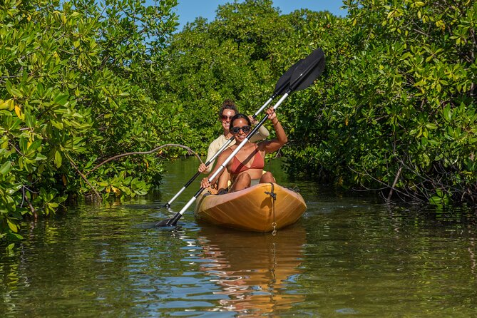 2 Hour Mangrove Kayak and Snorkel Tour - Is $60 a fair price?