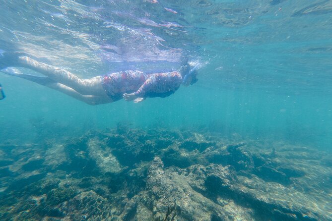 2-Hour Snorkeling in Two Spots of Tulum's Reef - Getting to the beach meeting point