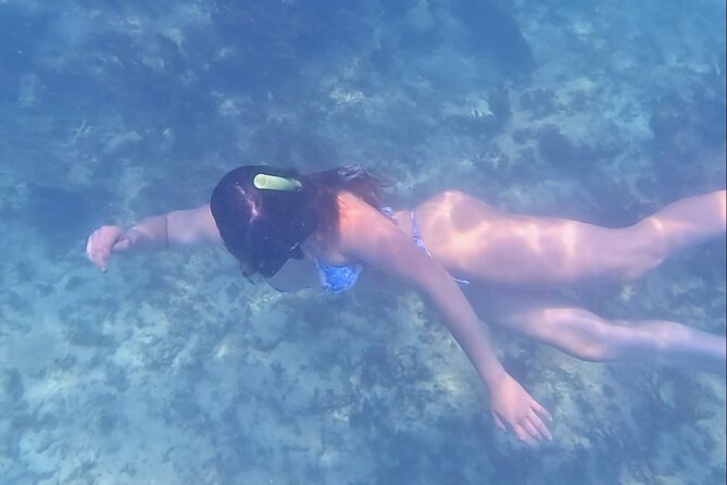 2-Hour Snorkeling in Two Spots of Tulum's Reef - Equipment, boat size, and comfort