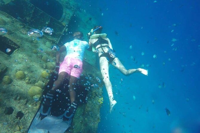 2 Hours Turtle Feeding, Shipwreck & Reef Snorkeling Tour Barbados - Choosing the best departure time