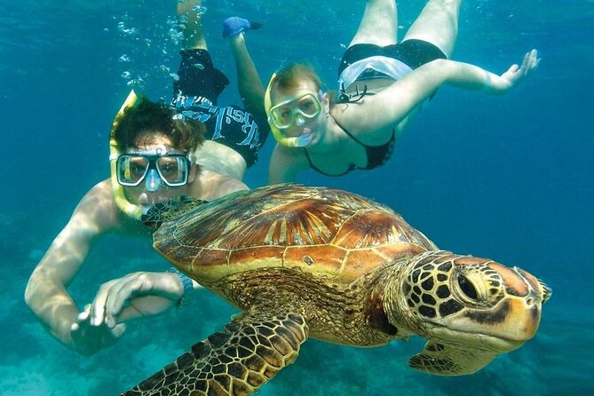 2 Hours Turtle Feeding, Shipwreck & Reef Snorkeling Tour Barbados - Who will enjoy this boat trip most