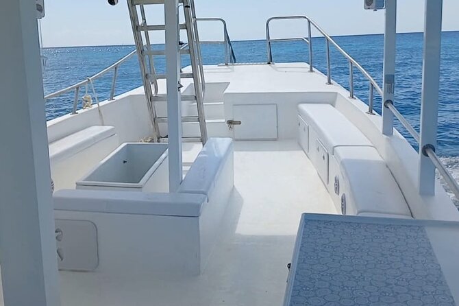 2 Hours Turtle Feeding, Shipwreck & Reef Snorkeling Tour Barbados - Should you book the Horizon Boat Tours trip?