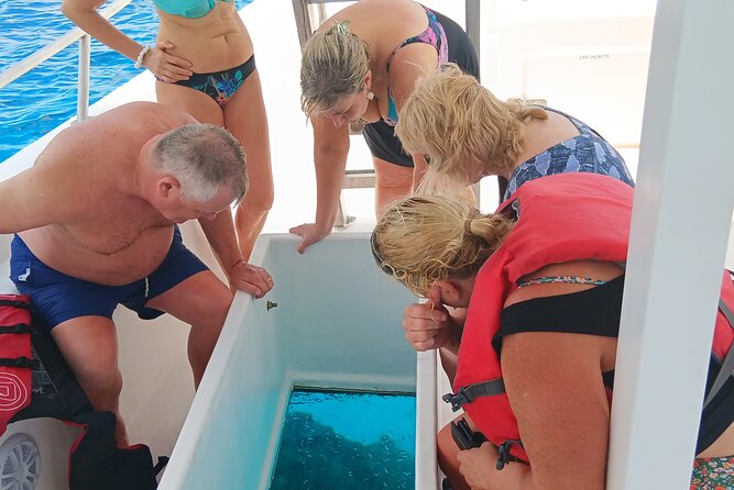 2 Hours Turtle Feeding, Shipwreck & Reef Snorkeling Tour Barbados - The turtle stop: exciting, but never guaranteed