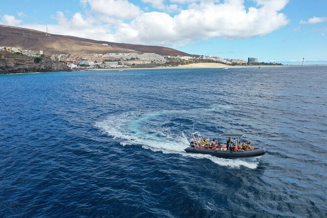 2h Dolphin and Whale Viewing + Snorkeling Tour - Leaving Puerto del Morro Jable on a small boat
