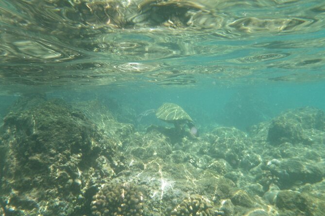 3.5 Hour Kailua-Kona Ocean Kayak and Snorkel Tour - Cliff jumping, lava tubes, and optional thrills