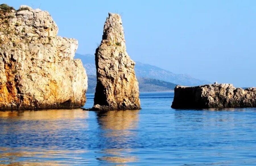3,5h Wild Bays: Swim & Snorkel with Capt. Bobo (Public) - Key points at a glance