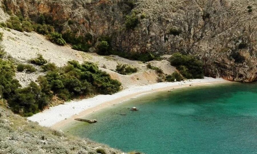 3,5h Wild Bays: Swim & Snorkel with Capt. Bobo (Public) - Two hours for swimming, snorkeling, and beach time