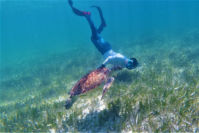 3 Hour Costa Maya Snorkeling Excursion - La Leyenda ECO-TOURS - Drinks, snacks, and the post-snorkel beach stop