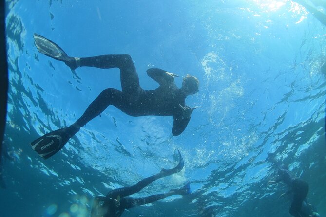 3-Hour Kayak and Snorkeling Experience in Batemans Bay - What makes this Batemans Bay outing different