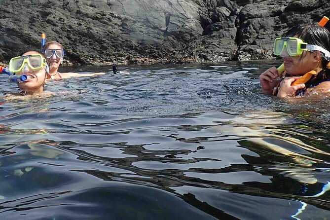 3-Hour Kayak and Snorkeling Experience in Batemans Bay - The one-hour paddle to the selected site