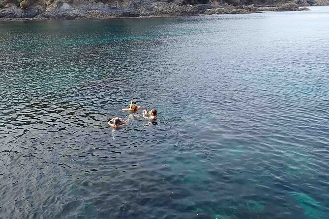 3-Hour Kayak and Snorkeling Experience in Batemans Bay - Anchoring the kayaks and snorkeling for up to 40 minutes