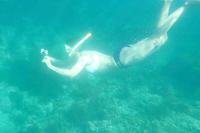 3-Hour Kayak and Snorkeling Experience in Batemans Bay - Morning tea on the water or at a nearby beach