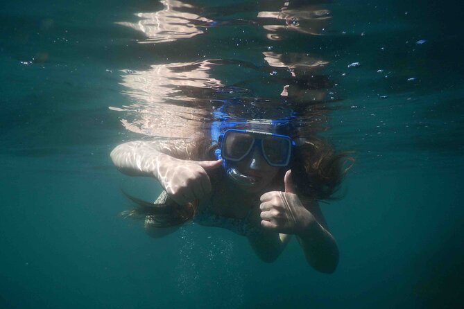 3-Hour Kayak and Snorkeling Experience in Batemans Bay - How the $114.04 price measures up