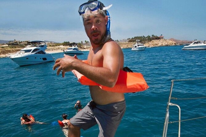 3 hour Snorkeling and Catamaran in Cabo San Lucas - Whales, sea lions, and other wildlife