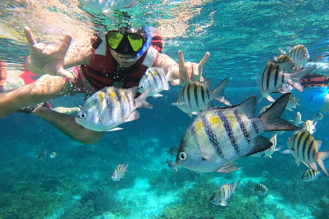 3 Hours VIP Semiprivate Tour Isla Mujeres Full Snorkeling Experience - What the small boat changes