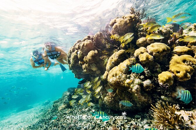 3-in-1 Puerto Morelos: Snorkeling, Tequila & Beachside Lunch - What the $39 price really covers
