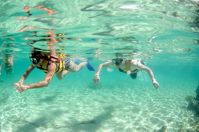 3-in-1 Puerto Morelos: Snorkeling, Tequila & Beachside Lunch - Who should book this reef and town combination