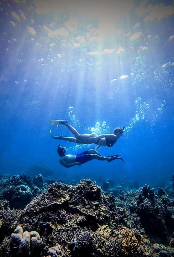 3 islands snorkeling & turtle sanctuary Gopro included - A practical booking decision