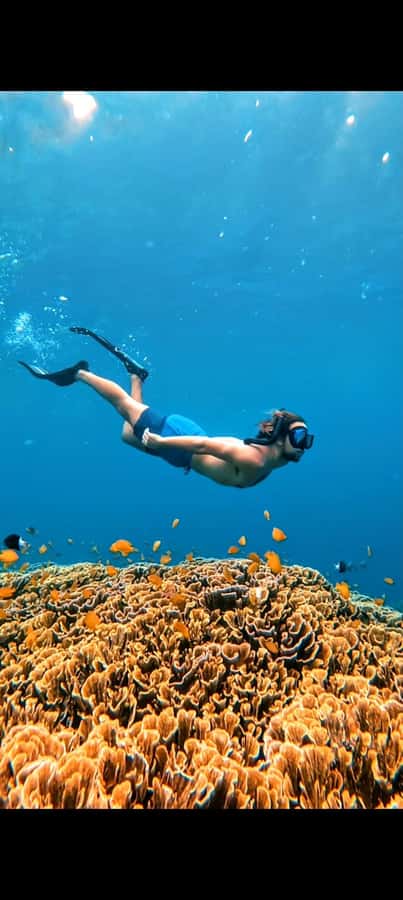 3 Islands Snorkeling with Glass Bottom Boat & GOPRO SHOOT - The turtle sanctuary and the quieter side of the trip