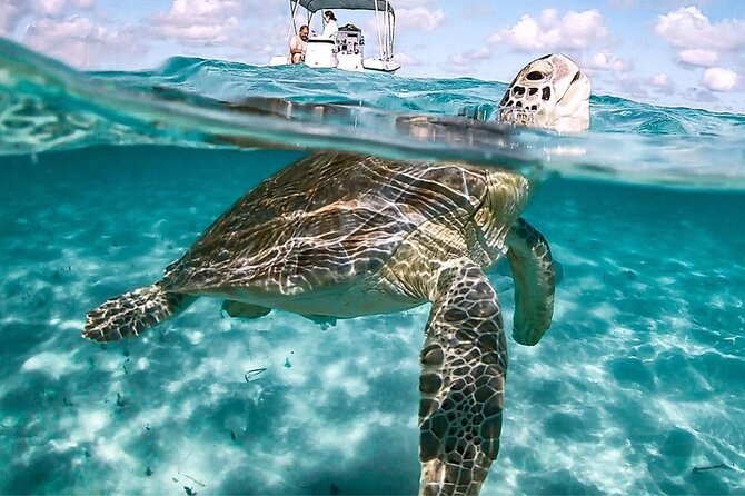 3 Islands Tour, Swim with Pigs, Turtles, Snorkelling & lunch - Four stops, one busy morning on the water