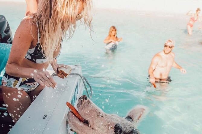 3 Islands Tour, Swim with Pigs, Turtles, Snorkelling & lunch - Rose Island: pigs, lunch, and time to relax