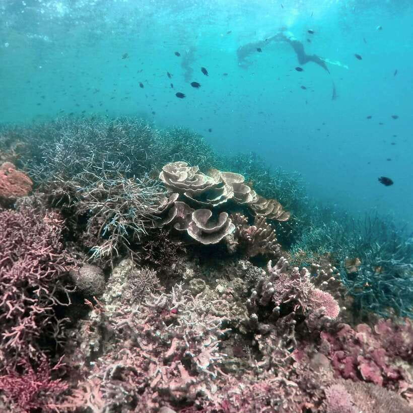 3DAYS AND 2NIGHTS SNORKEL ISLANDS HOPPING EXPEDITION - The safety questions you should ask first