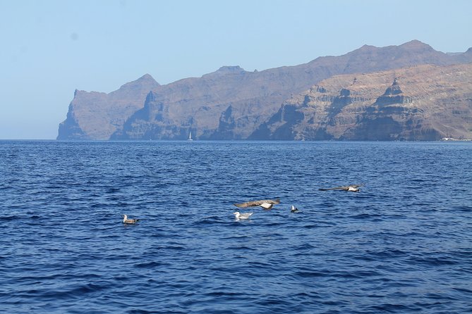 3h Boat Trip + Snorkeling in Puerto de Mogan - Practical Details Before You Book