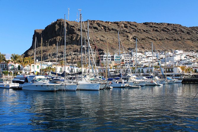 3h Boat Trip + Snorkeling in Puerto de Mogan - Who Will Enjoy This Trip Most