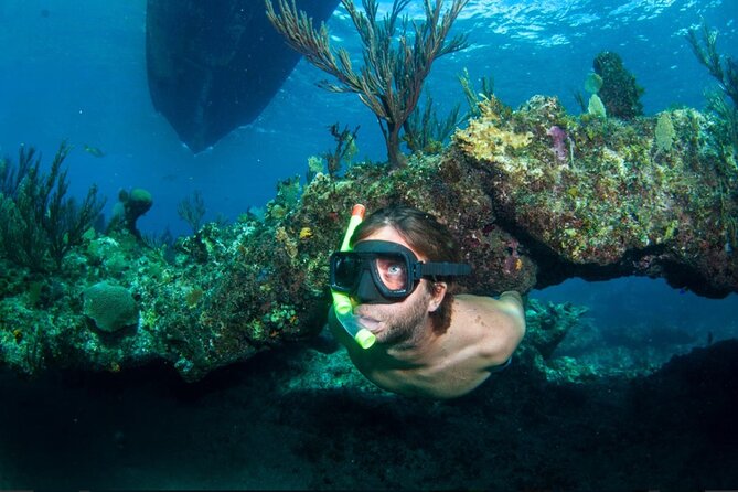 3HR Emerald reef snorkeling, iguana island and shipwreck tour - Key points to know before booking