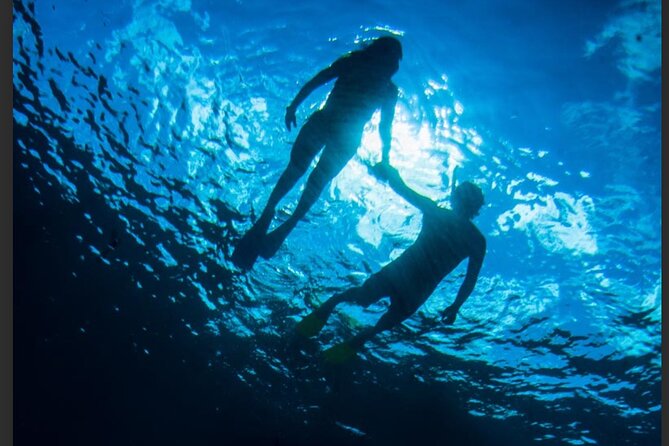 3HR Emerald reef snorkeling, iguana island and shipwreck tour - Emerald Reef gives the tour its main reason to go