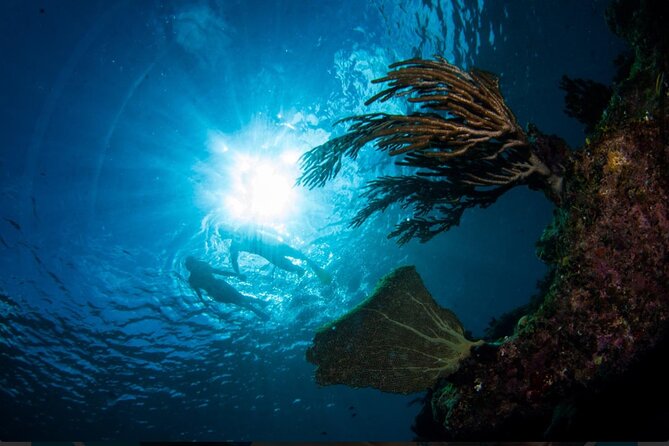 3HR Emerald reef snorkeling, iguana island and shipwreck tour - What the three-hour schedule really feels like
