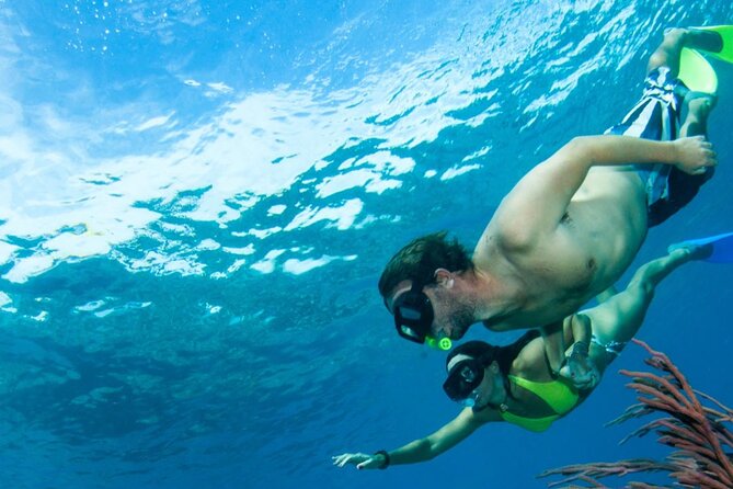 3HR Emerald reef snorkeling, iguana island and shipwreck tour - Practical advice for a smoother day