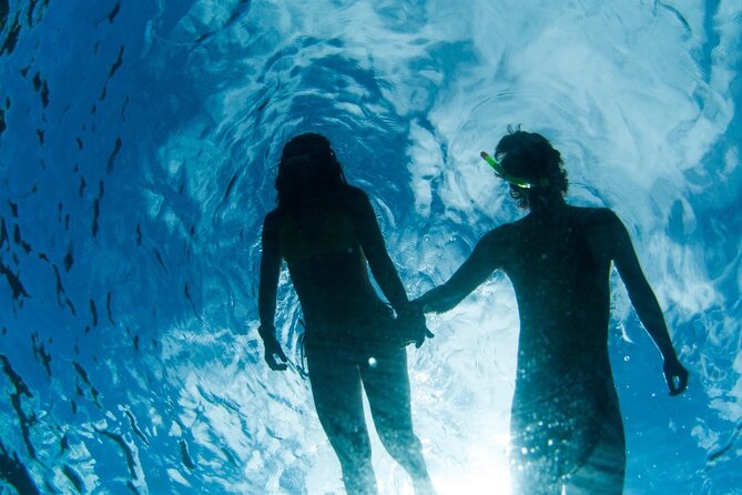 3HR Emerald reef snorkeling, iguana island and shipwreck tour - La Famille Express is a memorable sight, with an important limitation