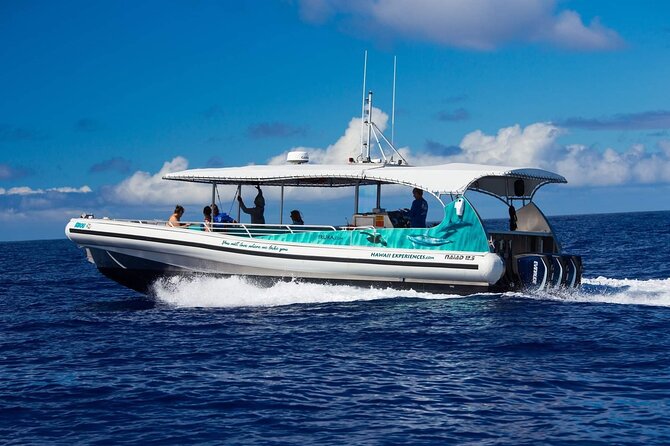 4 Hour Big Island Dolphin Watch Boat Tour, Snorkeling & BBQ Lunch - Who should book this Kona excursion