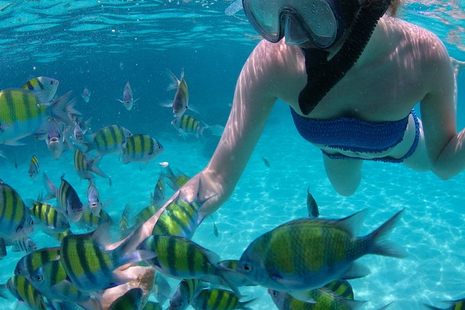 4-Hour Catamaran Sail and Snorkel Tour from Grace Bay - Lunch, Rum Punch, and the Return Sail