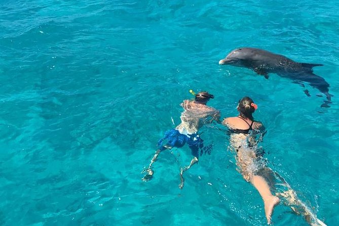 4-Hour Catamaran Sail and Snorkel Tour from Grace Bay - Who Will Enjoy This Tour Most
